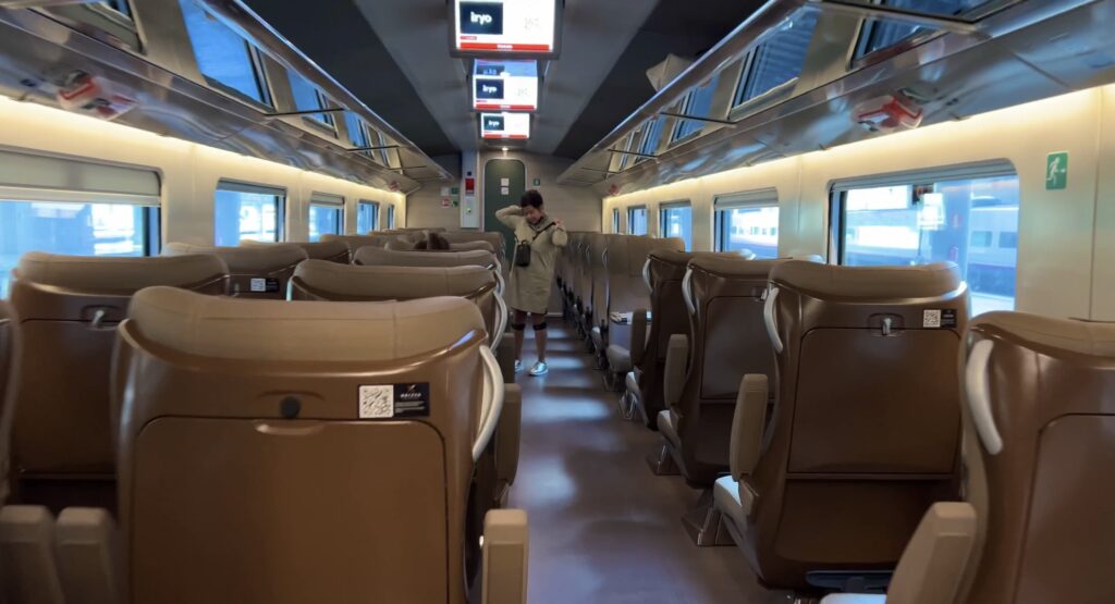 train carriage with brown leather seats in rows