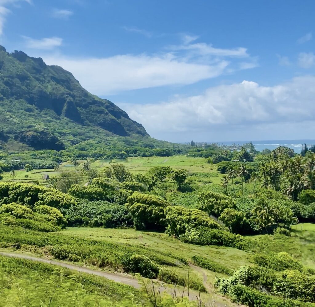 Green valley in Oahu next to the ocean